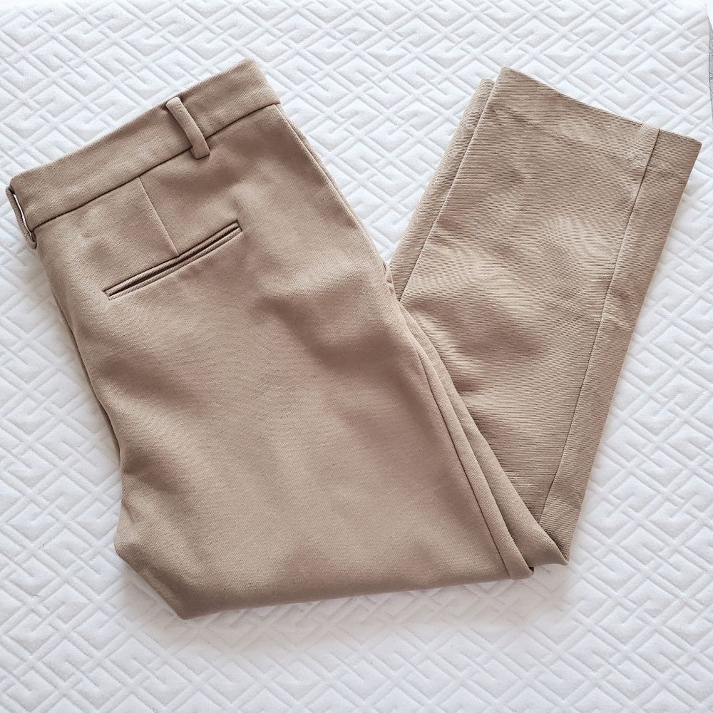 Ann Taylor Cropped Tan Pants Size 6P